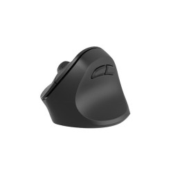 Mysz bezprzewodowa Natec Crake 2 Bluetooth 5.2 + 2.4GHz 2400… | PartsPC.pl