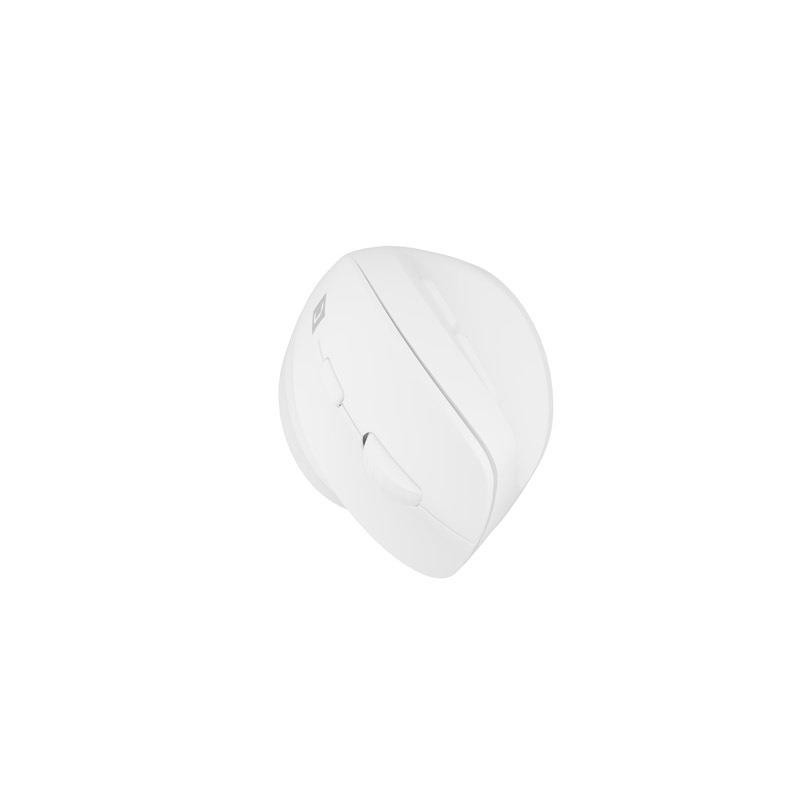 Mysz bezprzewodowa Natec Crake 2 Bluetooth 5.2 + 2.4GHz 2400DPI wertykalna