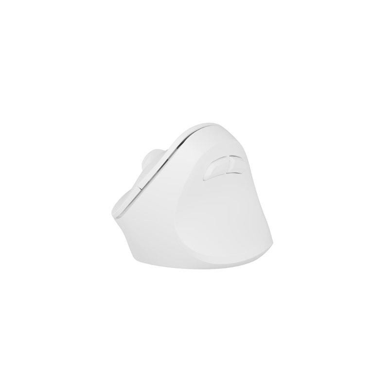 Mysz bezprzewodowa Natec Crake 2 Bluetooth 5.2 + 2.4GHz 2400DPI wertykalna