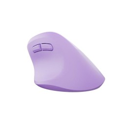 Mysz bezprzewodowa Natec Crake 2 Bluetooth 5.2 + 2.4GHz 2400DPI wertykalna