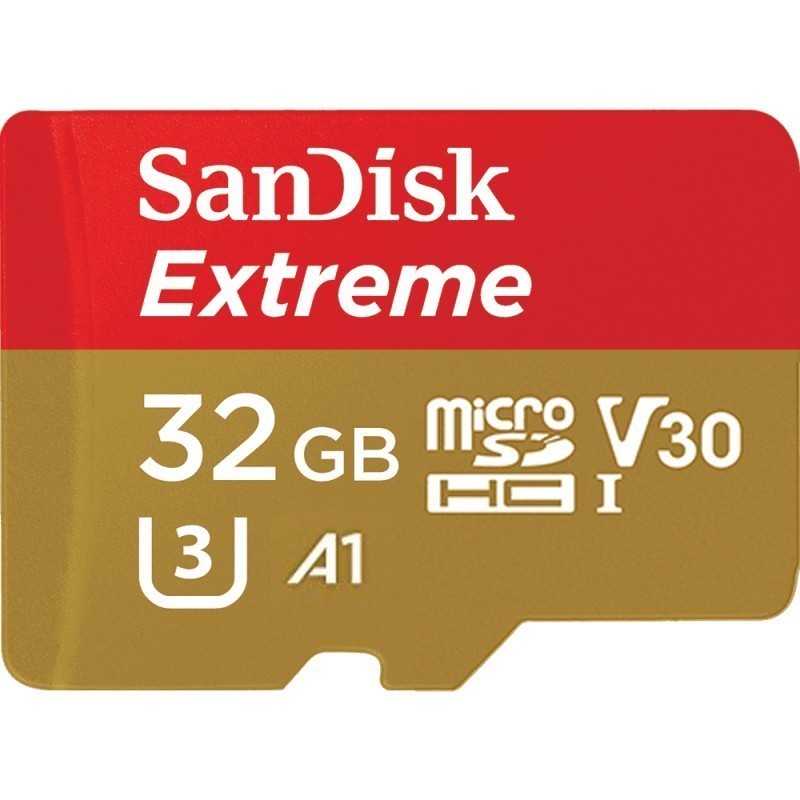 Extreme microSDHC 32GB 100/60 MB/s A1 V30 GoPro | PartsPC.pl