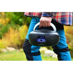 Boombox ABB11BT Bluetooth FM | PartsPC.pl