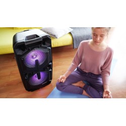 Głośnik APA20 system audio Bluetooth Karaoke | PartsPC.pl