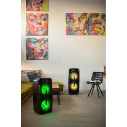 Głośnik APA20 system audio Bluetooth Karaoke | PartsPC.pl