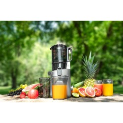 Wyciskarka wolnoobrotowa Juicy LO7120 | PartsPC.pl