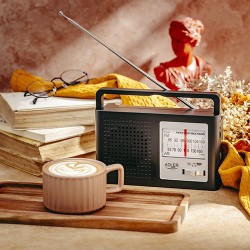 Radio AM/FM AD1909 | PartsPC.pl