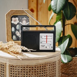 Radio AM/FM AD1909 | PartsPC.pl