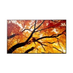 Sharp Monitor MultiSync M322 32 cale 24/7 | PartsPC.pl