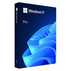 Windows Pro 11 64bit ENG USB Flash Drive Box HAV-00163 | PartsPC.pl