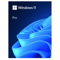 Windows Pro 11 64bit ENG USB Flash Drive Box HAV-00163 | PartsPC.pl