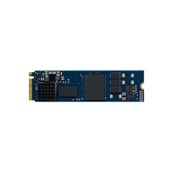 Kingston Dysk SSD DC2000B 480GB PCIe 4.0 NVMe M.2 | PartsPC.pl