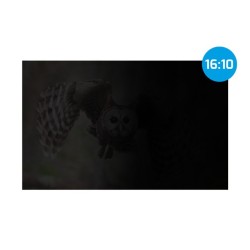 Filtr prywatyzujący RODO Natec Owl 14" 16:10 | PartsPC.pl
