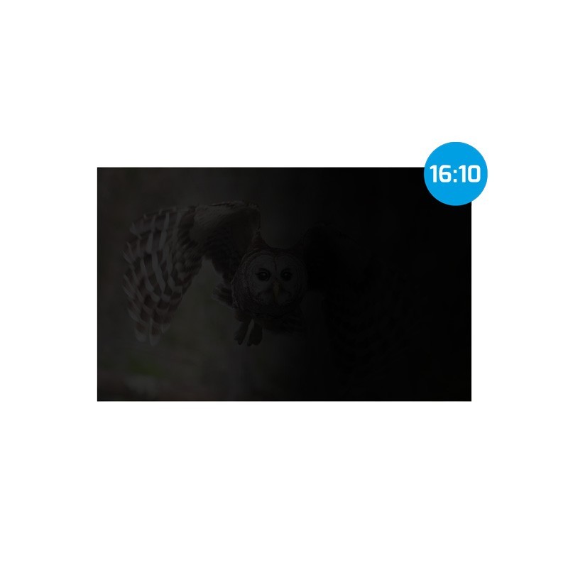 Filtr prywatyzujący RODO Natec Owl 14" 16:10 | PartsPC.pl