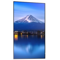 Monitor wielkoformatowy MultiSync P556 55 cali UHD 700cd/m2 … | PartsPC.pl