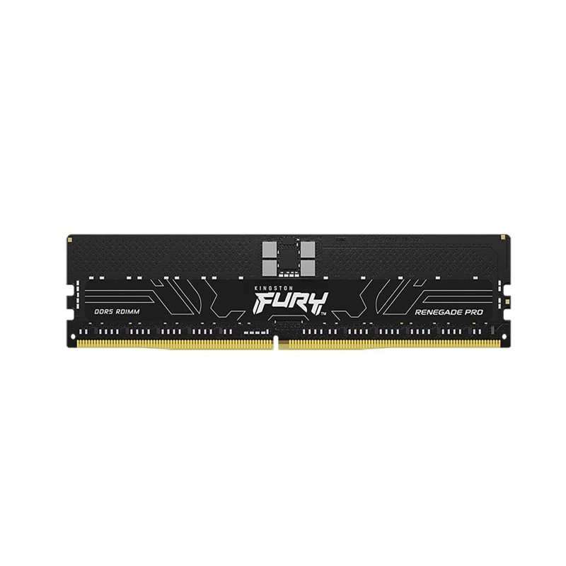 Pamięć DDR5 256(8*32)/5600 ECC Reg CL28 Renegade Pro EXP | PartsPC.pl