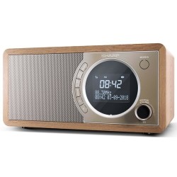 Radio DAB+ BT DR-450(BR) | PartsPC.pl