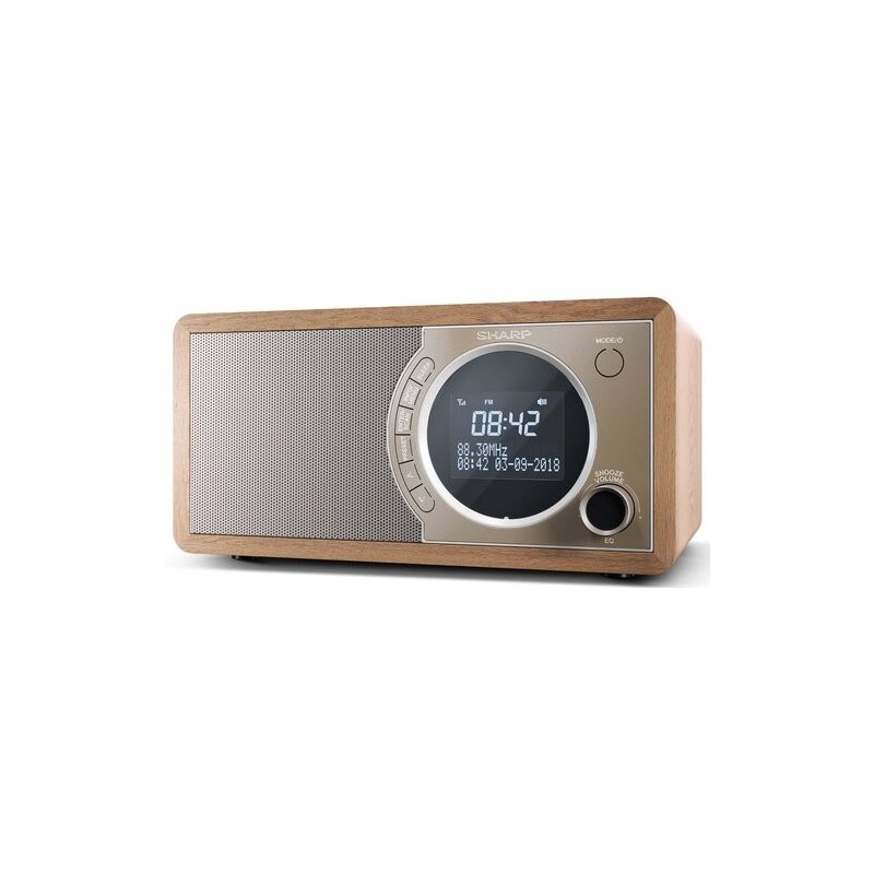 Radio DAB+ BT DR-450(BR) | PartsPC.pl