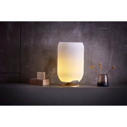 Lampa LED z głośnikiem i coolerem na napoje Atmos silver