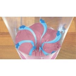 Mini blender z butelką ToGo MMB2111S | PartsPC.pl
