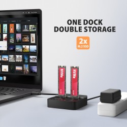 ADSA-M2C22L Stacja dokująca USB-C 3.2 Gen2x2 - 2 x NVMe M.2 … | PartsPC.pl