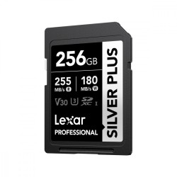 Karta pamięci PROFESSIONAL SILVER PLUS 256GB SDXC UHS-I 205M… | PartsPC.pl