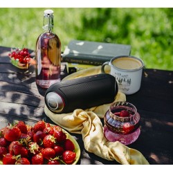 Głośnik bezprzewodowy Bluetooth CR1901 | PartsPC.pl