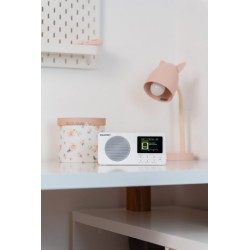 Radio przenośne DAB DR6WH | PartsPC.pl