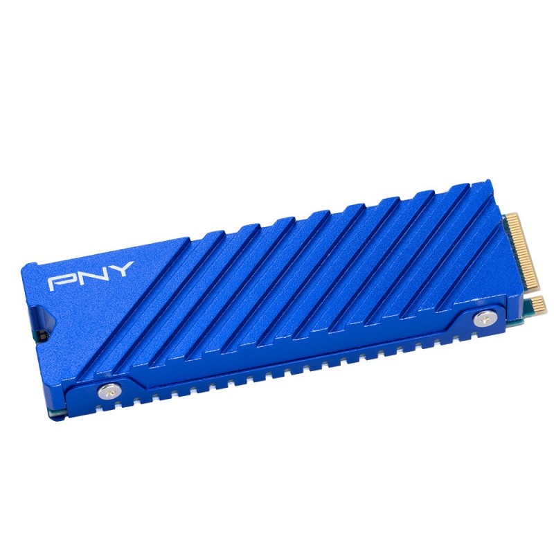 Dysk SSD 1TB M.2 2280 PS5 M280CS2341PS5-1TB-RB