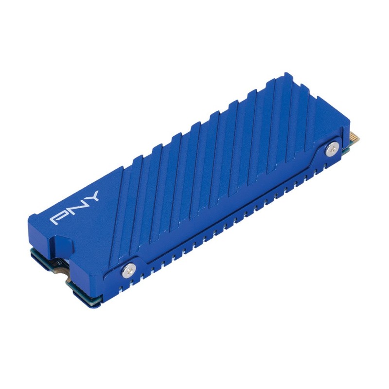 Dysk SSD 1TB M.2 2280 PS5 M280CS2341PS5-1TB-RB