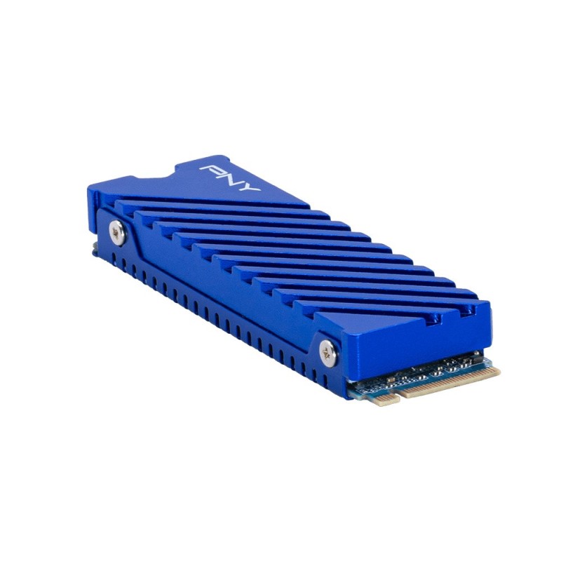 Dysk SSD 1TB M.2 2280 PS5 M280CS2341PS5-1TB-RB
