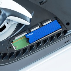 Dysk SSD 1TB M.2 2280 PS5 M280CS2341PS5-1TB-RB