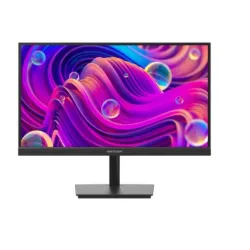 Hikvision Monitor DS-D5022F2-1V2S